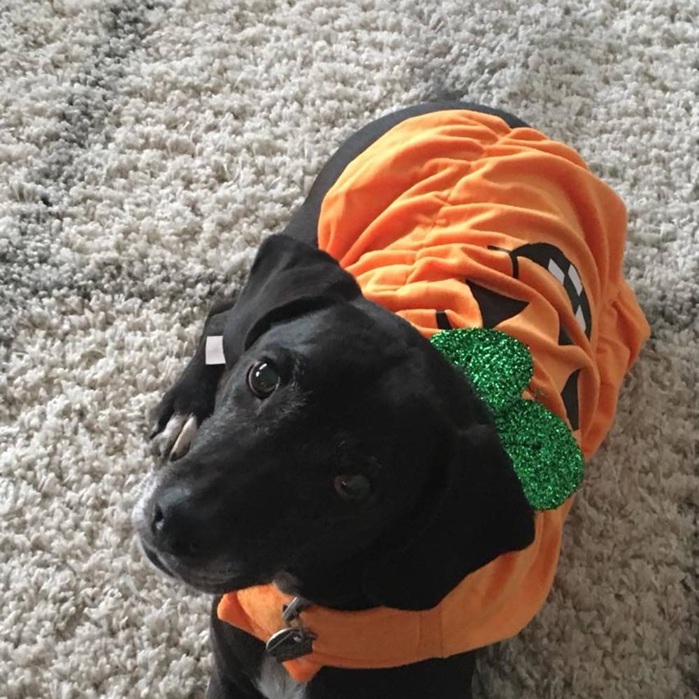 Meet your Posher, Melissa